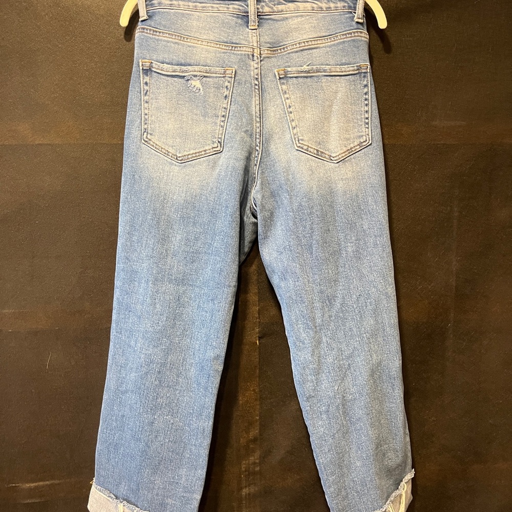 Flying Monkey Light Blue Denim - image 2